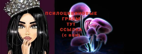 MESCALINE Аркадак
